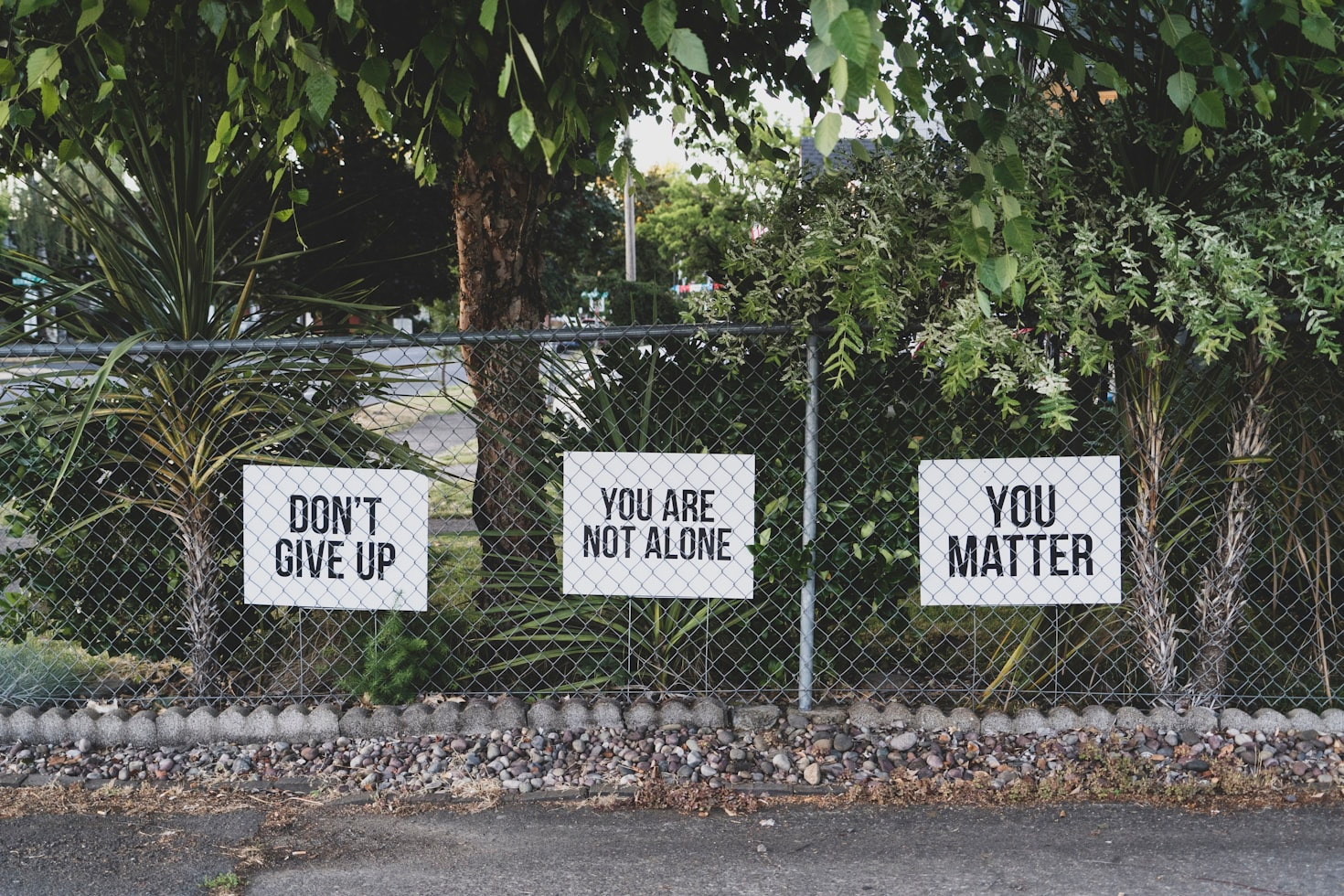 Building Connections Through Advocacy Efforts